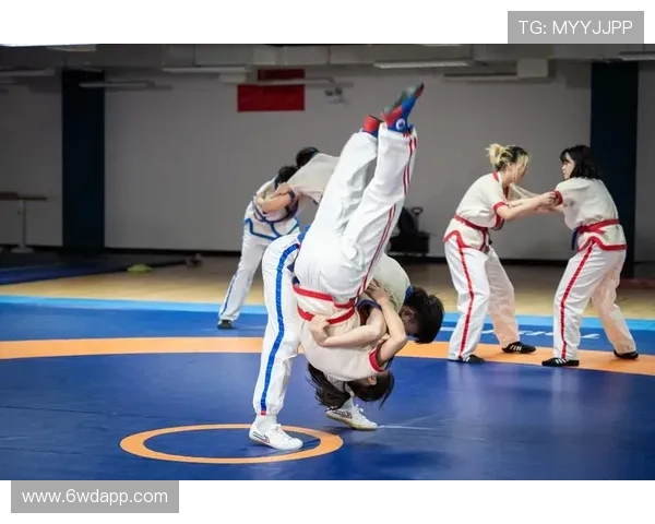 1994年中国摔跤比赛回顾：辉煌历史与精彩瞬间